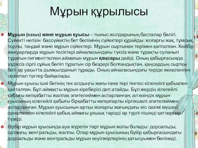 Мұрын (nasus) және мұрын қуысы – тыныс жолдарының басталар бөлігі. Сүйекті негізін бассүйектің