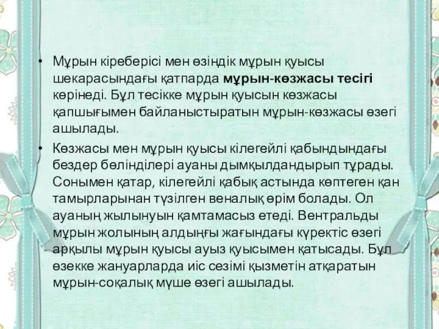 Мұрын кіреберісі мен өзіндік мұрын қуысы шекарасындағы қатпарда мұрын-көзжасы тесігі