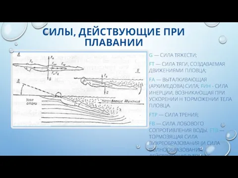 СИЛЫ, ДЕЙСТВУЮЩИЕ ПРИ ПЛАВАНИИ G — СИЛА ТЯЖЕСТИ; FТ —