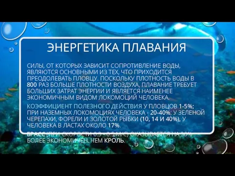 ЭНЕРГЕТИКА ПЛАВАНИЯ СИЛЫ, ОТ КОТОРЫХ ЗАВИСИТ СОПРОТИВЛЕНИЕ ВОДЫ, ЯВЛЯЮТСЯ ОСНОВНЫМИ