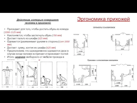 Эргономика прихожей Действия, которые совершает человек в прихожей: Приседает для