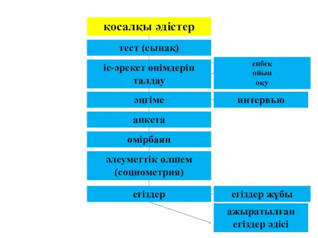 қосалқы әдістер тест (сынақ) іс-әрекет өнімдерін талдау әңгіме өмірбаян егіздер