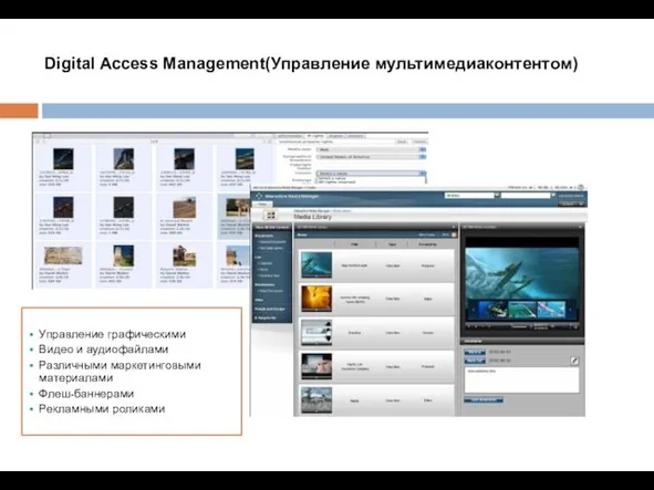 Digital Access Management(Управление мультимедиаконтентом) Управление графическими Видео и аудиофайлами Различными маркетинговыми материалами Флеш-баннерами Рекламными роликами