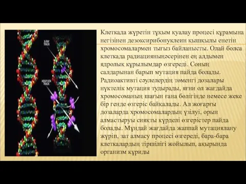 Клеткада жүретін тұқым қуалау процесі құрамына негізінен дезоксирибонуклеин қышқылы енетін