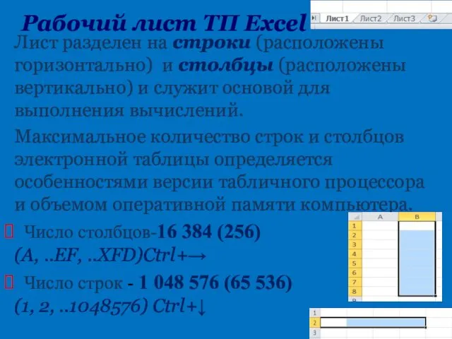 Рабочий лист TП Excel Лист разделен на строки (расположены горизонтально)