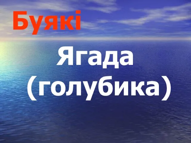 Буякі Ягада (голубика)