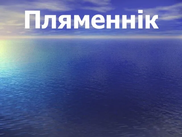 Пляменнік