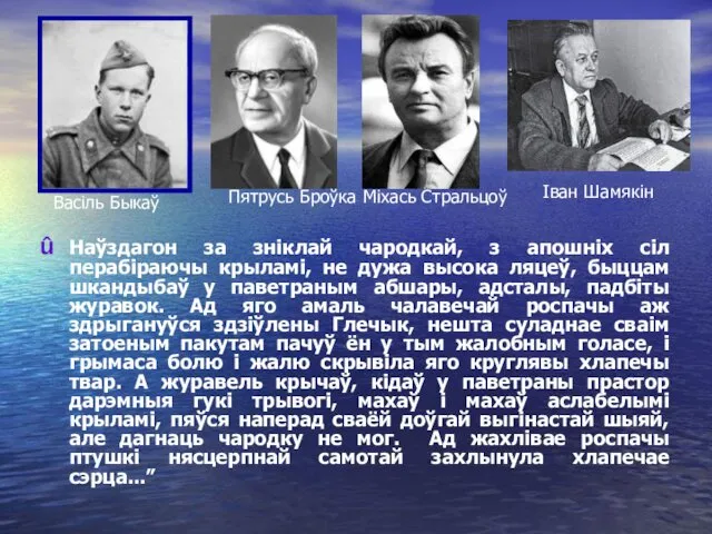 Наўздагон за зніклай чародкай, з апошніх сіл перабіраючы крыламі, не