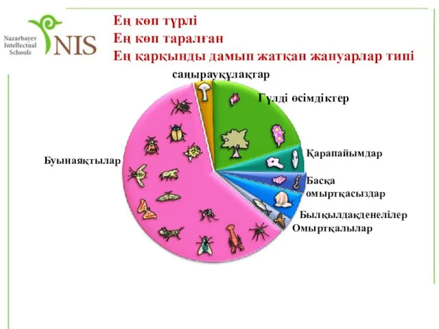 Ең көп түрлі Ең көп таралған Ең қарқынды дамып жатқан