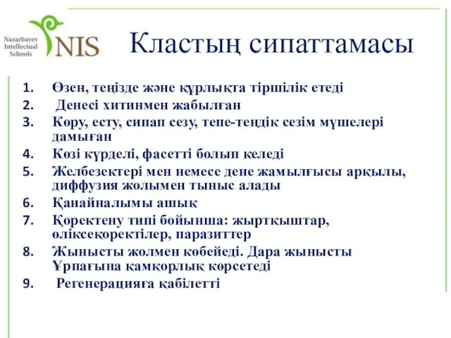 Кластың сипаттамасы Өзен, теңізде және құрлықта тіршілік етеді Денесі хитинмен