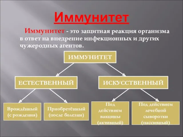 Иммунитет Иммунитет - это защитная реакция организма в ответ на