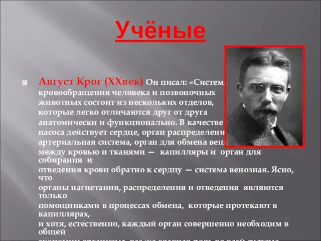 Учёные Август Крог (XXвек) Он писал: «Система кровообращения человека и