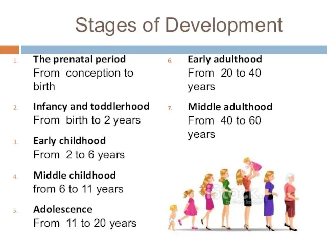 Stages of Development The prenatal period From conception to birth