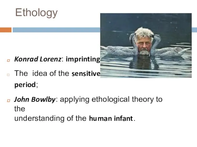 Ethology Konrad Lorenz: imprinting The idea of the sensitive period;