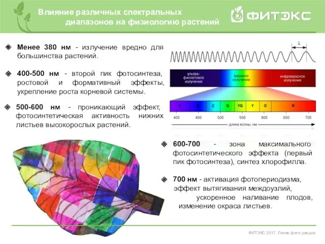 ФИТЭКС 2017. Линия фито диодов Влияние различных спектральных диапазонов на физиологию растений 600-700
