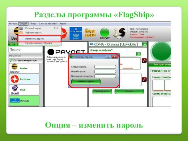 Разделы программы «FlagShip» Опция – изменить пароль