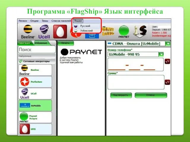 Программа «FlagShip» Язык интерфейса