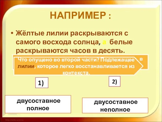 НАПРИМЕР : Жёлтые лилии раскрываются с самого восхода солнца, а