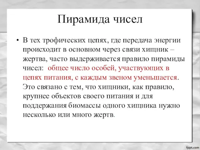 Пирамида чисел В тех трофических цепях, где передача энергии происходит