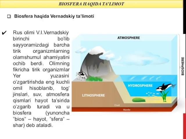 BIOSFERA HAQIDA TA’LIMOT Rus olimi V.I.Vernadskiy birinchi bo’lib sayyoramizdagi barcha