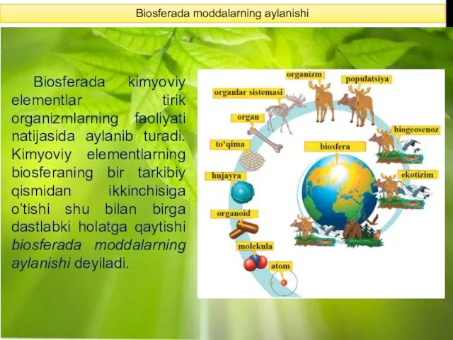 Biosferada moddalarning aylanishi Biosferada kimyoviy elementlar tirik organizmlarning faoliyati natijasida