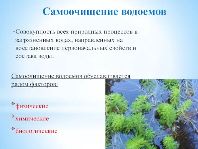 Самоочищение водоемов Совокупность всех природных процессов в загрязненных водах, направленных