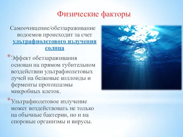 Самоочищение/обеззараживание водоемов происходит за счет ультрафиолетового излучения солнца Эффект обеззараживания