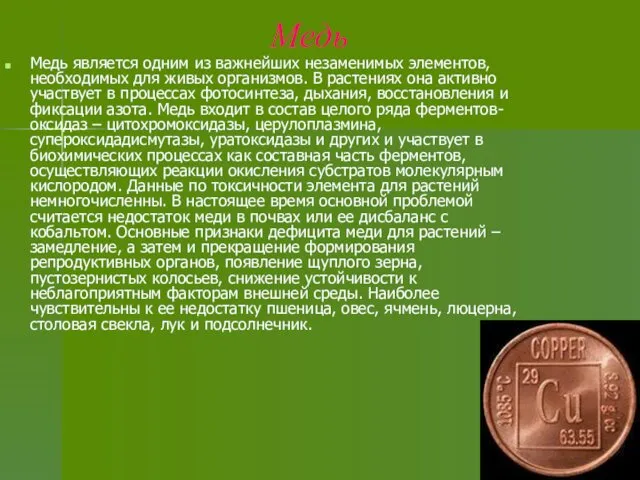 Медь Медь является одним из важнейших незаменимых элементов, необходимых для