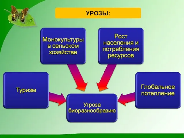 УРОЗЫ: