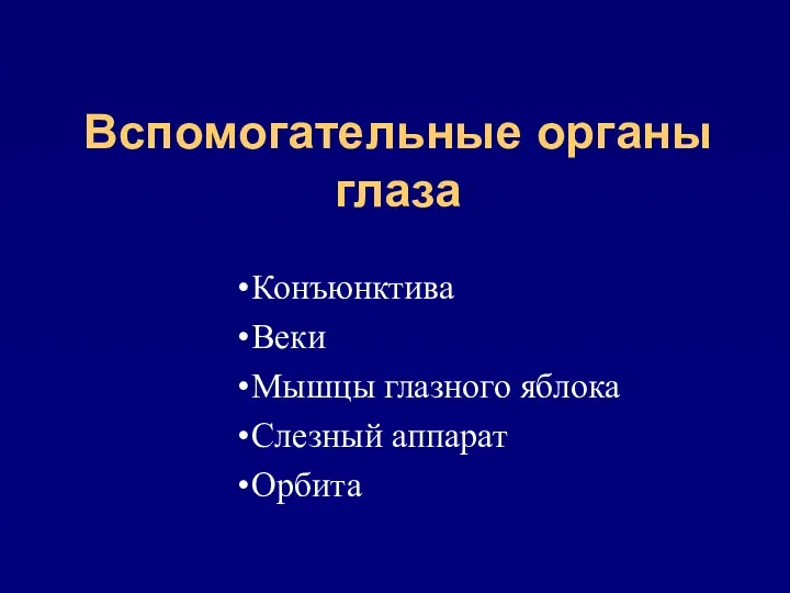 Вспомогательные органы глаза Конъюнктива Веки Мышцы глазного яблока Слезный аппарат Орбита