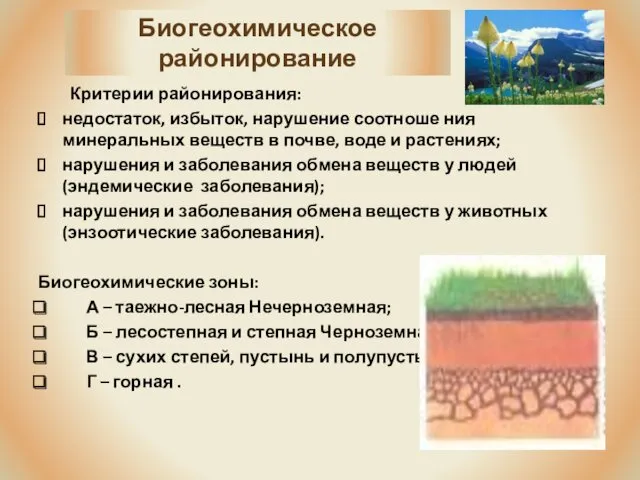 Биогеохимическое районирование Критерии районирования: недостаток, избыток, нарушение соотноше ния минеральных