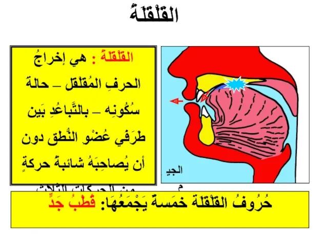 الجيم القَلْقَلَةُ : هي إخراجُ الحرفِ المُقَلْقَلِ – حالةَ سُكُونِه