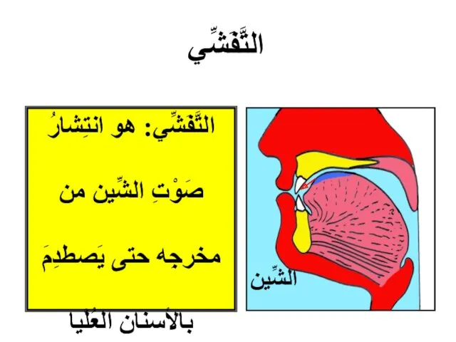 التَّفَشِّي: هو انتِشارُ صَوْتِ الشِّين من مخرجِه حتى يَصطدِمَ بالأسنانِ العُلْيا التَّفَشِّي الشِّين