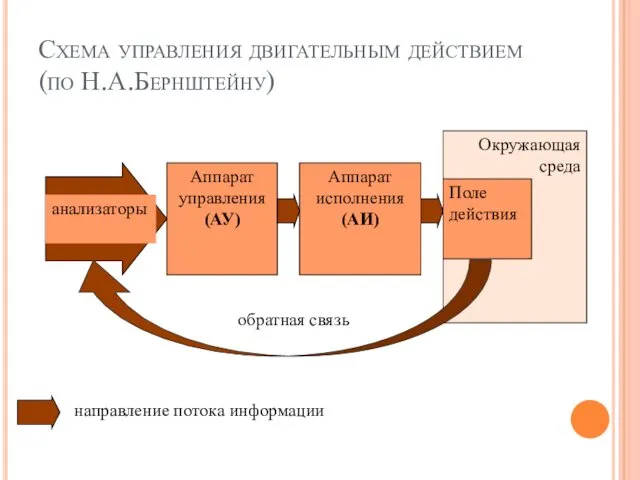 Схема управления двигательным действием (по Н.А.Бернштейну)