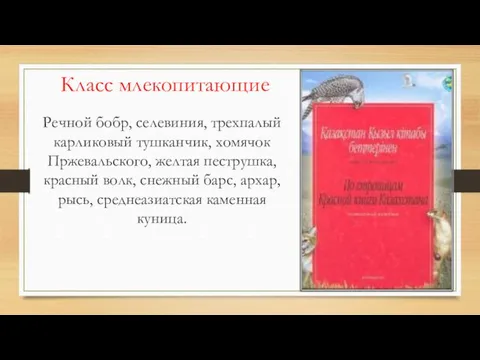 Класс млекопитающие Речной бобр, селевиния, трехпалый карликовый тушканчик, хомячок Пржевальского,