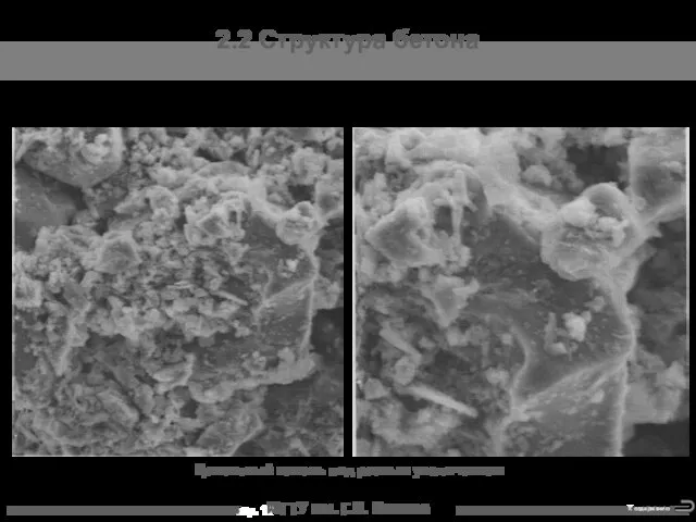 МГТУ им. Г.И. Носова 2.2 Структура бетона Цементный камень под разным увеличением К содержанию