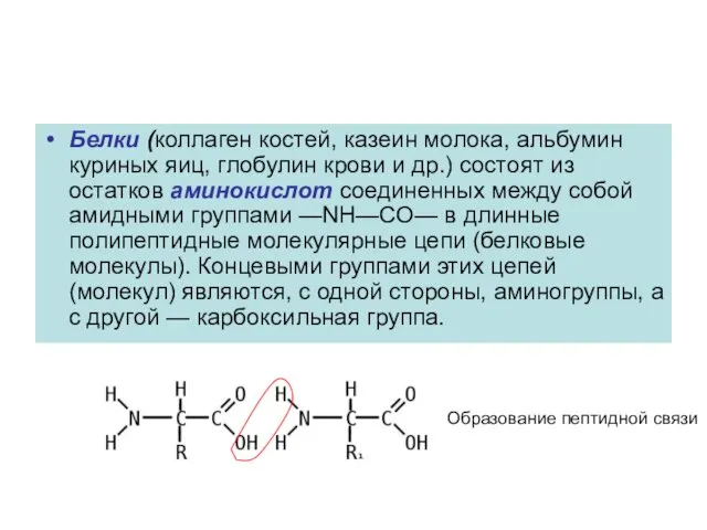 Белки (коллаген костей, казеин молока, альбумин куриных яиц, глобулин крови