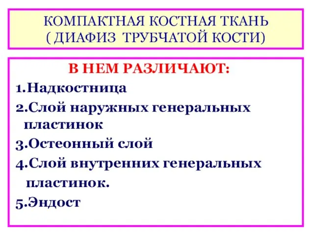 КОМПАКТНАЯ КОСТНАЯ ТКАНЬ ( ДИАФИЗ ТРУБЧАТОЙ КОСТИ) В НЕМ РАЗЛИЧАЮТ: