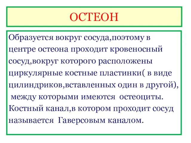 ОСТЕОН Образуется вокруг сосуда,поэтому в центре остеона проходит кровеносный сосуд,вокруг