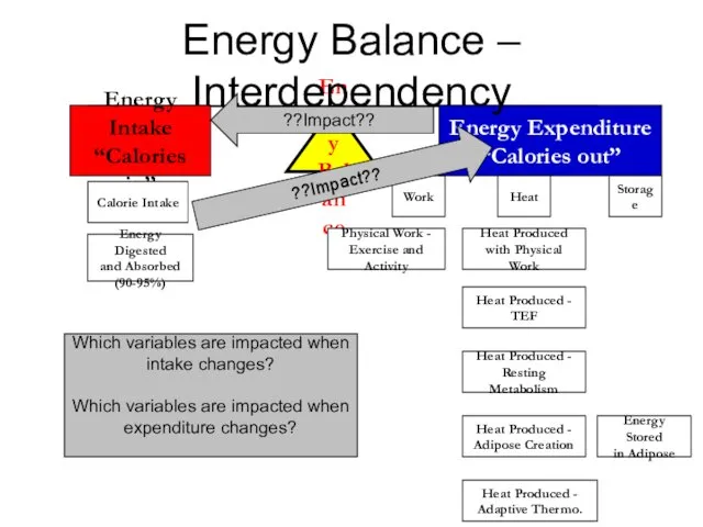Energy Balance Energy Intake “Calories in” Work Energy Expenditure “Calories