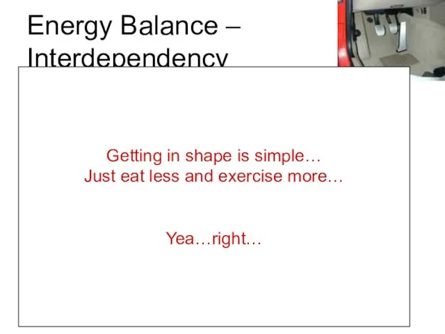 Energy Balance – Interdependency The metabolic gas pedal… -Increase or