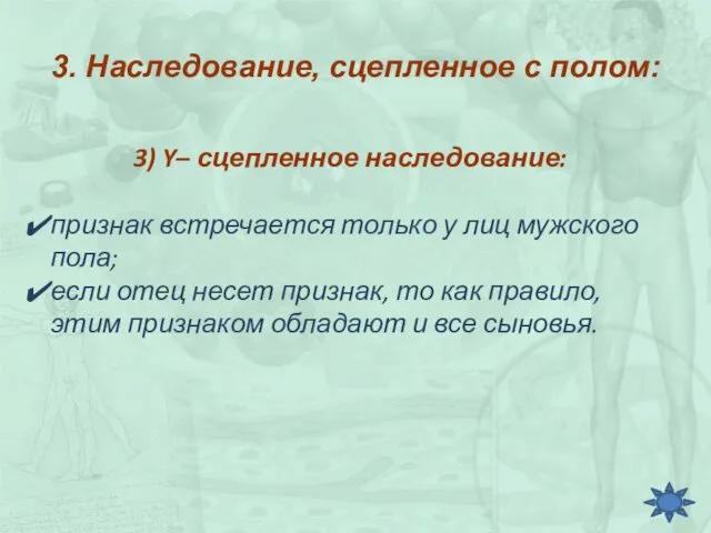 3. Наследование, сцепленное с полом: 3) Y– сцепленное наследование: признак