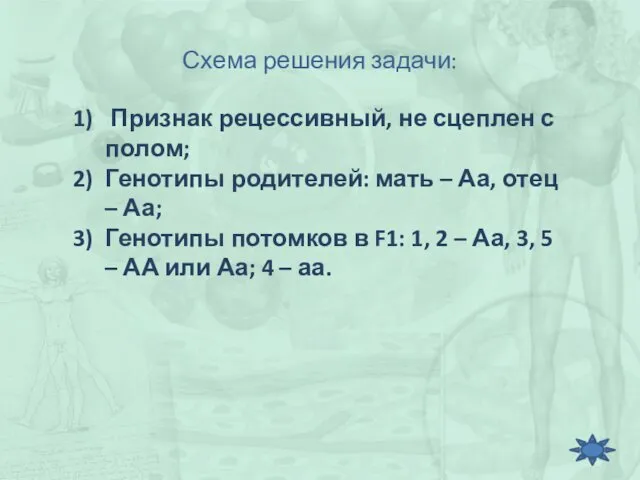 Схема решения задачи: Признак рецессивный, не сцеплен с полом; Генотипы