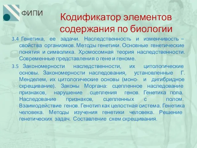 Кодификатор элементов содержания по биологии 3.4 Генетика, ее задачи. Наследственность