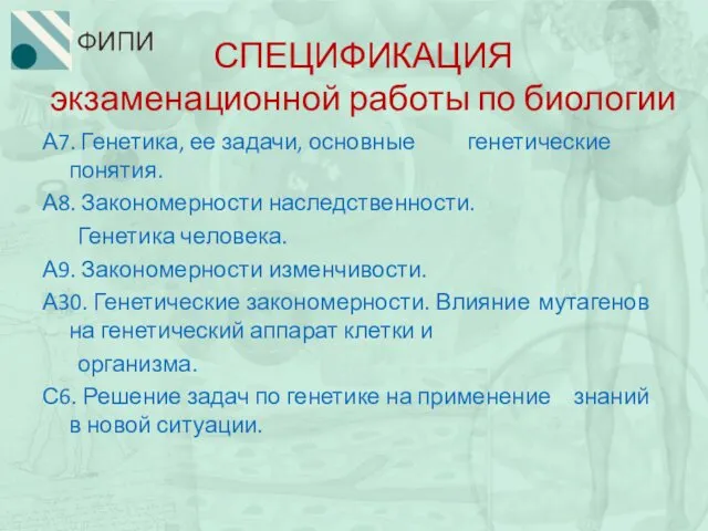 СПЕЦИФИКАЦИЯ экзаменационной работы по биологии А7. Генетика, ее задачи, основные