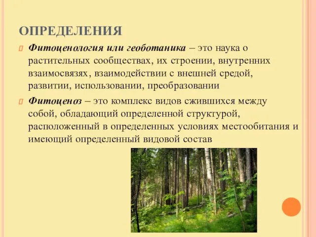 ОПРЕДЕЛЕНИЯ Фитоценология или геоботаника – это наука о растительных сообществах,