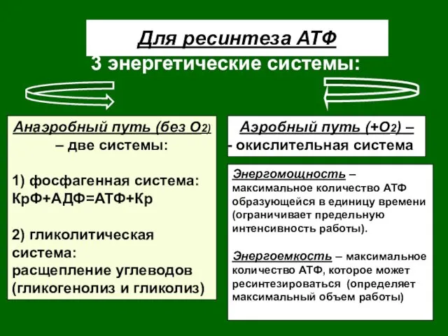 Для ресинтеза АТФ 3 энергетические системы: Анаэробный путь (без О2)