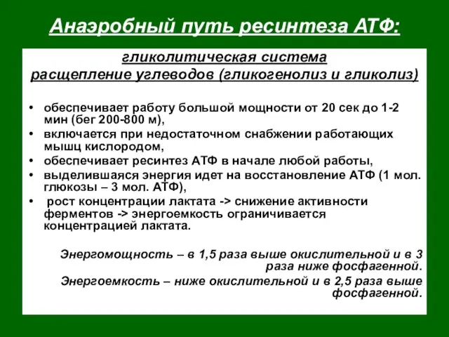 Анаэробный путь ресинтеза АТФ: гликолитическая система расщепление углеводов (гликогенолиз и