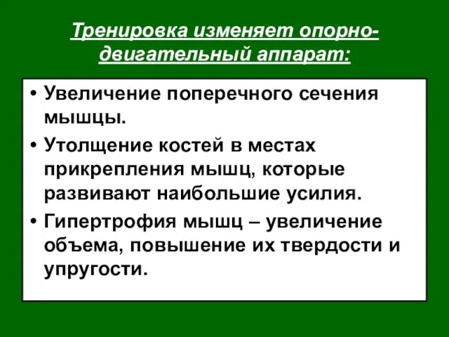 Тренировка изменяет опорно-двигательный аппарат: Увеличение поперечного сечения мышцы. Утолщение костей