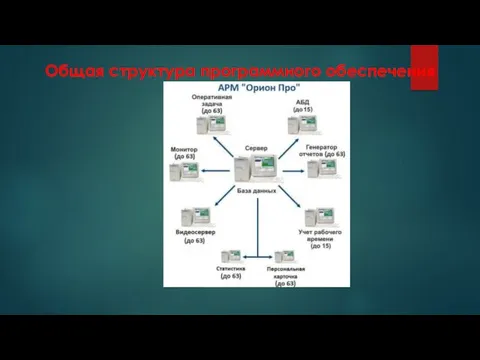 Общая структура программного обеспечения